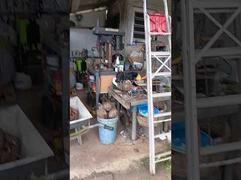 # Luciano Pantera 🐕 Visita Sítio da irmã Genaura no interior da cidade de Tanque D'arca Alagoas #