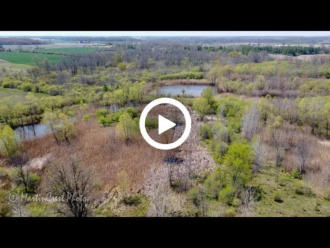 200516 Bradshaw Wetlands on Stanley Line