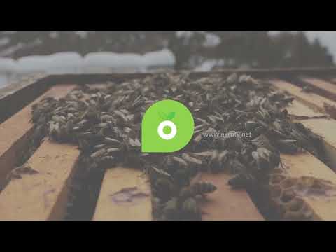 Boja meda ep. 256 31.01.2023. NAJAVA