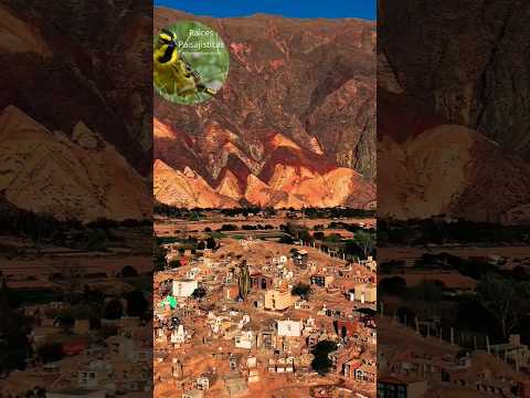 🎨 ¡Paisajes que parecen pintados! Maimará, Jujuy 🇦🇷 #shortsviajes#jujuyargentina#youtubeshorts