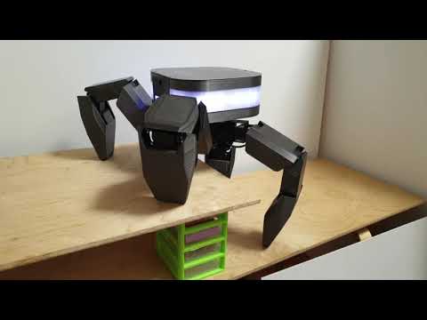 Quadruped Robot climbing a stair