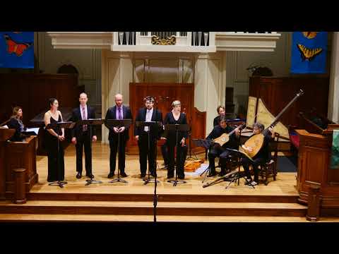 Barbara Strozzi: L'Amante modesto