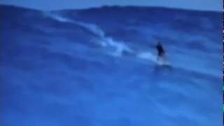 THE MOVING PICTURES - Do No Wrong