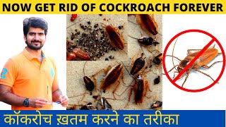 Odorless cockroach treatment | Cockroach control treatment | How to get rid of cockroach |  gel