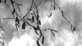 Bauhaus - Who killed Mr. Moonlight?