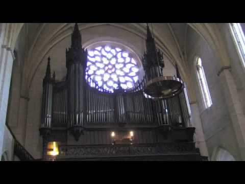 Eglise Notre Dame de la Dalbade