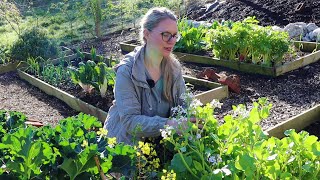 The Garden in April