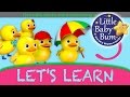 Let S Learn Nursery Rhymes For Kids Songs For Kids Learn With Little Baby Bum
