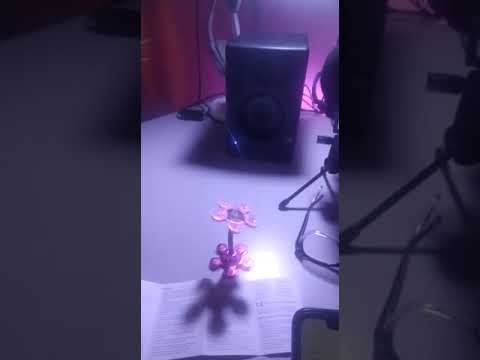 Yeelight Smart Bulb Setup