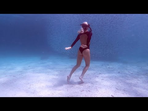 GALAPAGOS ISLANDS // - Exploring outer remote islands, sea lions, and bait balls