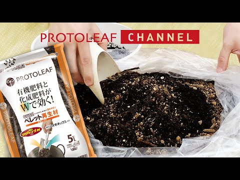 リサイクルされた木製のポットとプランター、ワイン箱、リサイクルされた材料で庭を飾る DIY アイデア