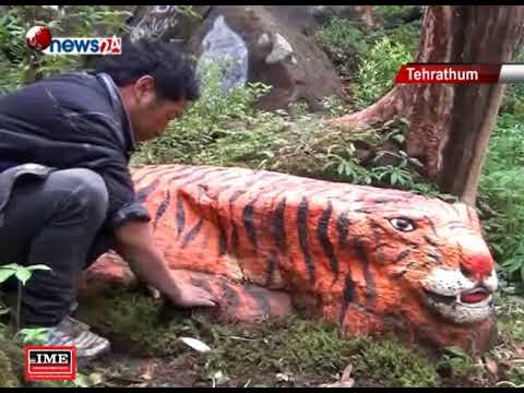 २८ प्रजातिका गुराँस फुल्ने तीनजुरे जंगलमा वनाइयो कलात्मक आकृति - NEWS24 TV