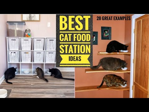 Best Cat Food Station Ideas | 28 Clever Setups for One or Many Cats