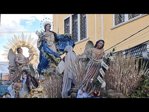 Cofradía del Patrón San Pedro | Inmaculada Concepción de Catedral Metropolitana 2025