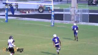 CAM WAKEFIELD HITS FOR 6 ON PUNT RETURN