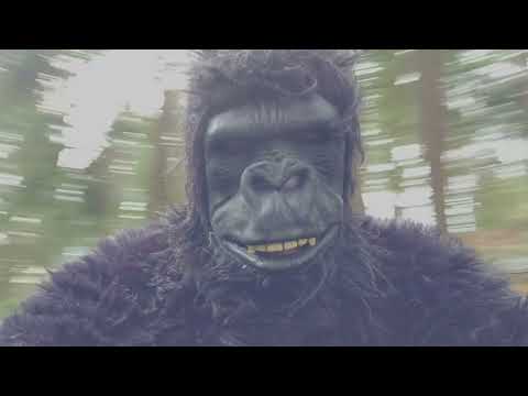 Video thumbnail for Nowheresville