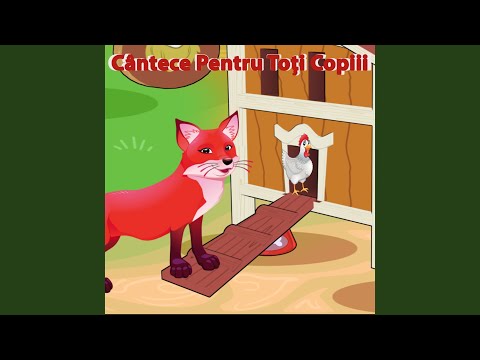 Vine Vulpea Cea Șireată