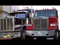 The Red Truck Driver Is MAD Black Dog CLIP