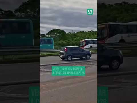 Ônibus da Prefeitura com nova identidade visual chegam a Fortaleza; veja imagens