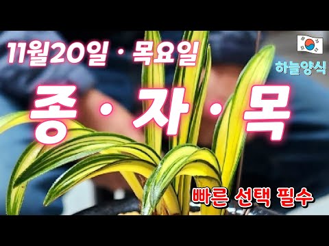 유튜브 썸네일