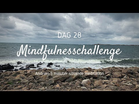 Dag 28 - Andrum (5 min meditation)