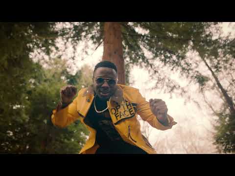 Timbo STP - Vybzing (Da Intro) Prod. By Jay Brown (Official Video)