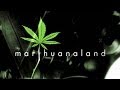 Documentary Drugs - Marihuanaland