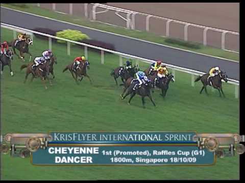 KrisFlyer International Sprint 2010 Contenders (Cheyenne Dancer)