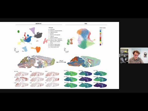 SCOG Virtual Lecture Series - Ozgun Gokce (ISD/LMU, Munich)