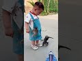 Viral Videos Trending TikTok WhatsApp Status Comedy Funny Video Short Funnyvideos