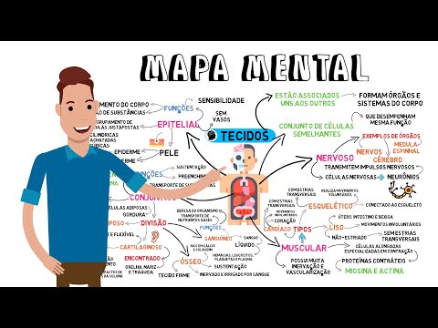 MIND MAP - BODY TISSUES