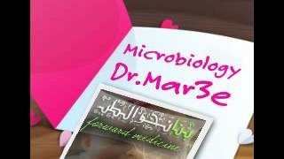 Dr Mar3e  _2- Streptococcus pyogenes  (p 9 )