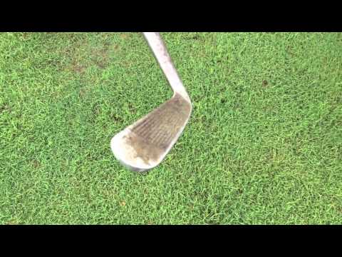 Mitch Laurence Persimmon club