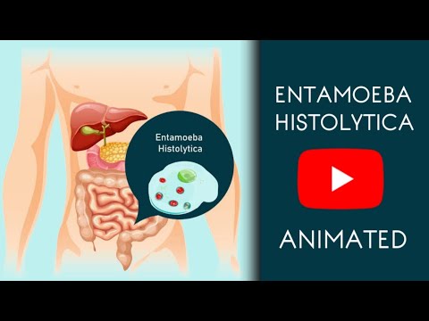 Entamoeba Histolytica in Easy Animated | Microbiology