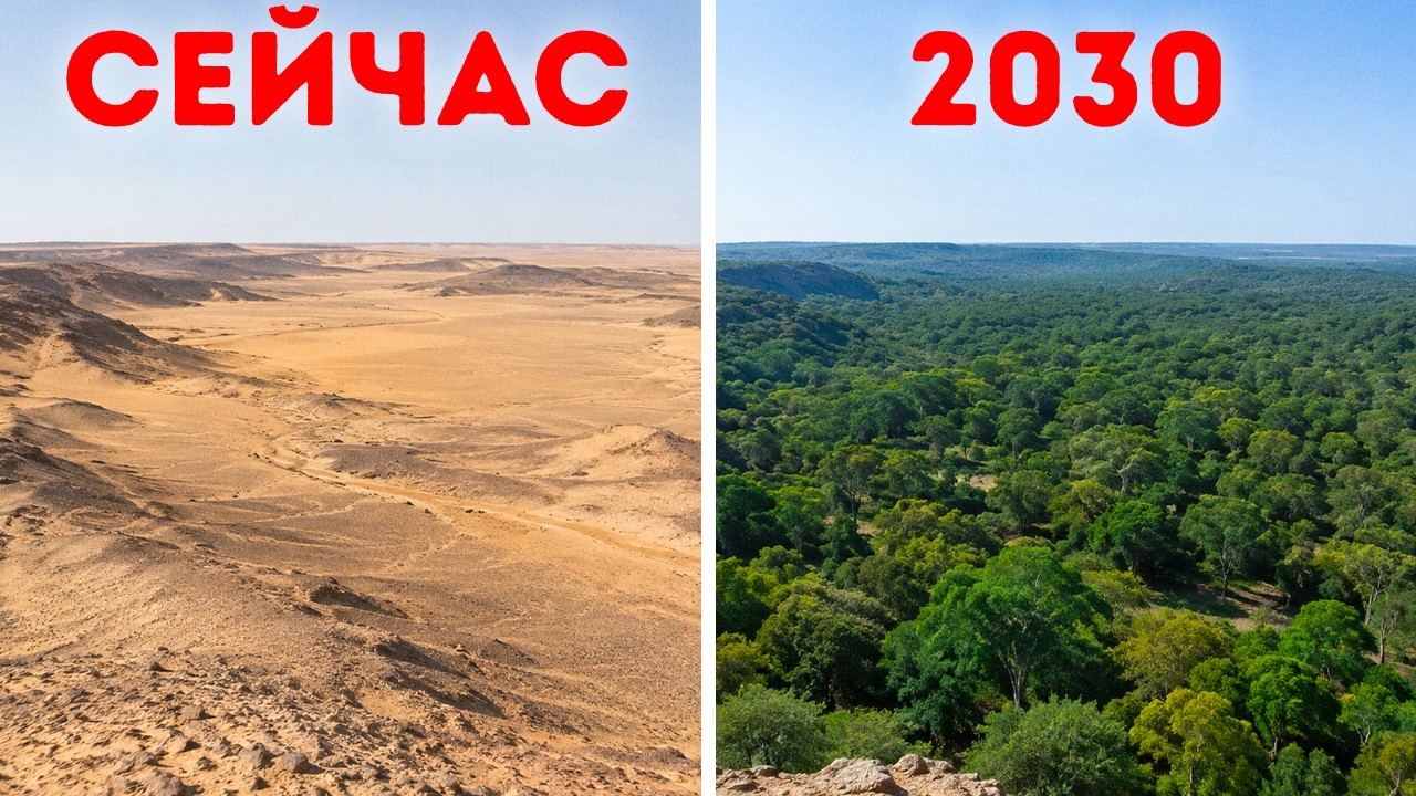 В Африке строят стену длиной 8000 км, чтобы остановить Сахару