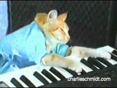 Modeselektor - Dancingbox with TTC