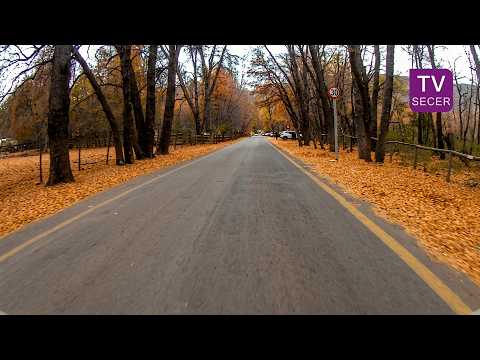 Viaje al Parque Inglés (Molina) - Región del Maule [31-05-2026]
