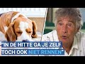 Wat moet je doen met je hond in de hitte? Martin Gaus geeft tips