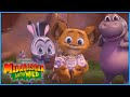 Melman S REAL Emergency DreamWorks Madagascar