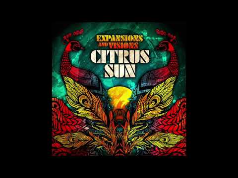 Diamond In The Sun - Citrus Sun (Official Audio)