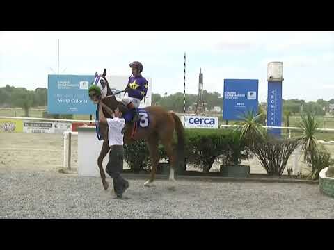 SINT COLONIA - 221113 c05- 1° EL VIGIA