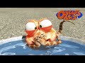 Flamin Hot Oscar Oscar S Oasis Funny Cartoons For Kids