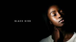 Dennis Cruz &amp; Ian Ludvig - Black Bird (Original Mix)