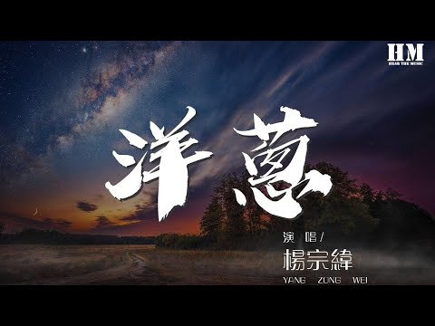 , title : '杨宗纬 - 洋葱『如果你愿意一层一层』【動態歌詞Lyrics】'