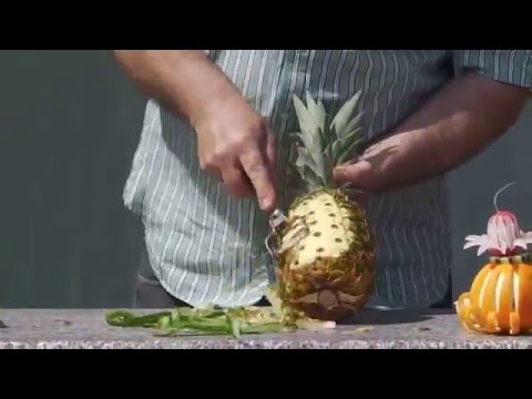 Gigant Multi Schäler