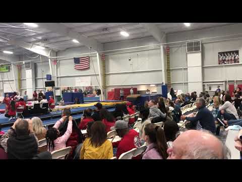 Carley Scott- Dragon Invitational Vault