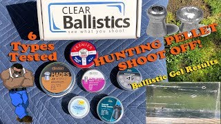 HUNTING PELLET SHOOTOUT