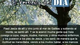 Miniatura del video: El versiculo del dia .com - Mateo 15 v29-31