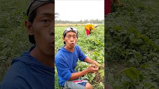 Download lagu Stressed out, wise words Javanese style #youtubeshorts mp3 Download lagu Stressed out, wise words Javanese style #youtubeshorts mp3
