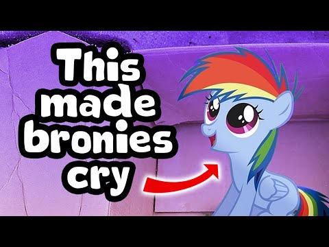 That fanfic story about the guy who adopts Rainbow Dash (My Little Dashie)